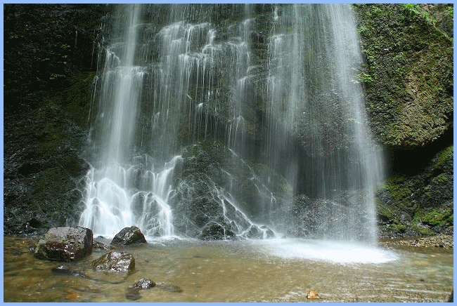 e0284019_10213246.gif