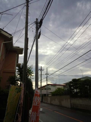 c0276326_1872910.jpg