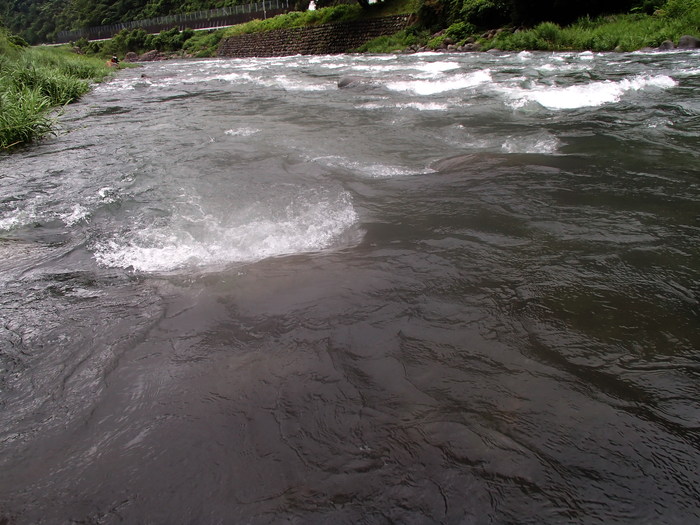 d0172227_8354450.jpg
