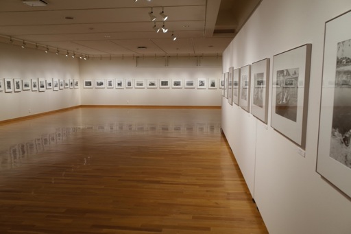 東川町文化ギャラリー展示情報_b0187229_1425197.jpg