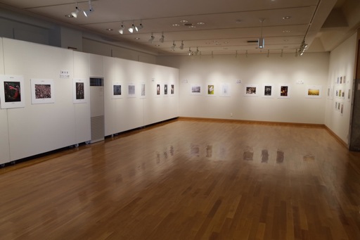 東川町文化ギャラリー展示情報_b0187229_142736.jpg