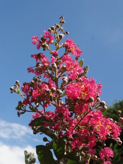c0074332_18381170.jpg