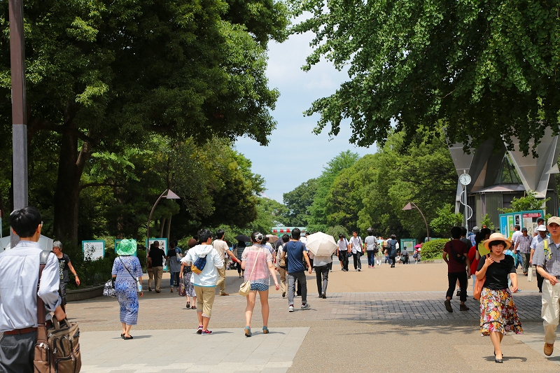 上野公園（１）_f0229832_1721497.jpg