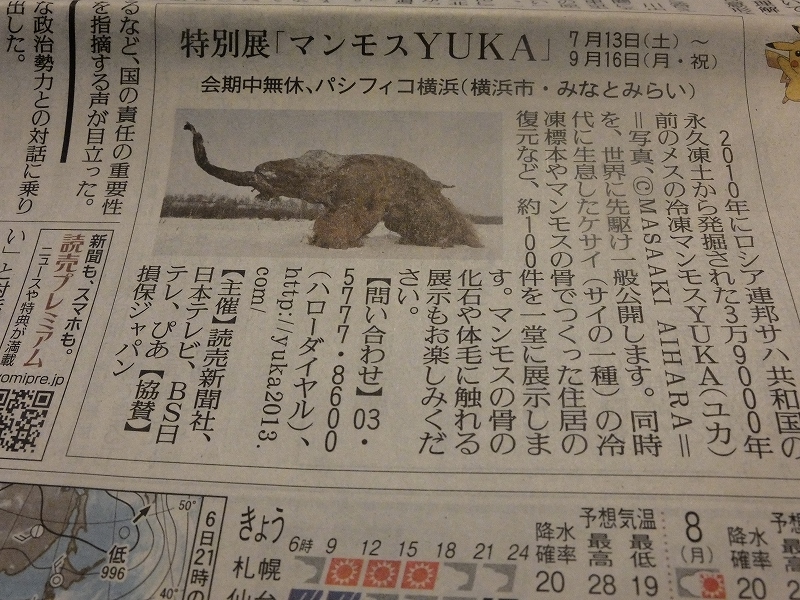 もう夏だ、日曜の昼下がり_f0050534_14442874.jpg
