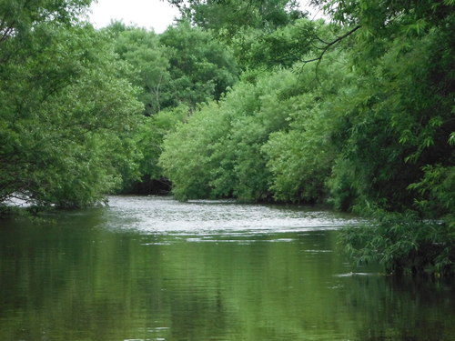 e0262235_918516.jpg