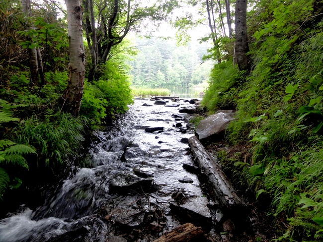 d0235336_21374010.jpg
