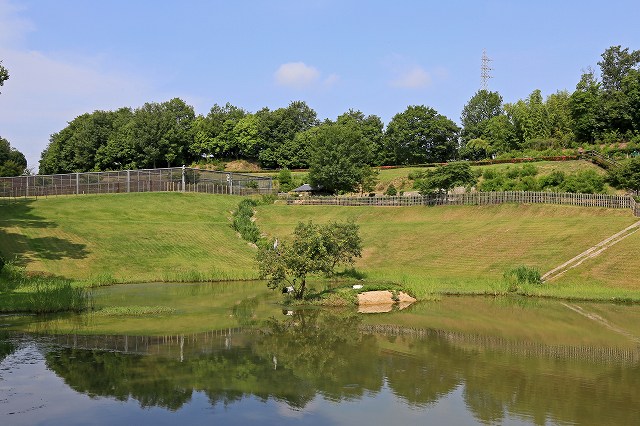 a0242438_1703828.jpg