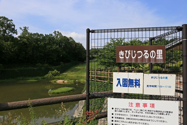 a0242438_1704650.jpg