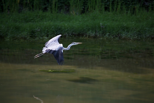 a0242438_171686.jpg