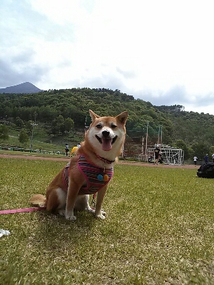 d0204043_0515634.jpg