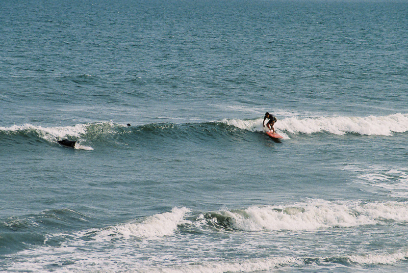 b0067346_14285633.jpg