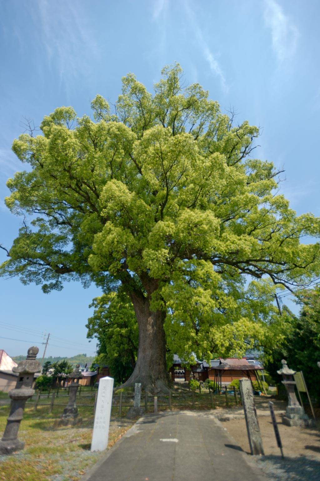 津江神社　２　福岡県八女市黒木町_b0023047_4214790.jpg