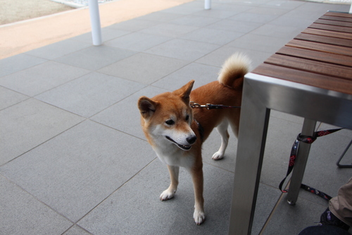 f0245650_93685.jpg
