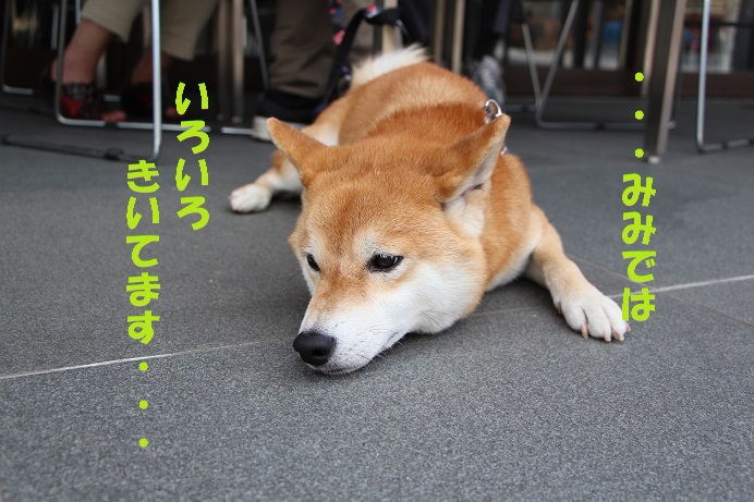 f0245650_97662.jpg
