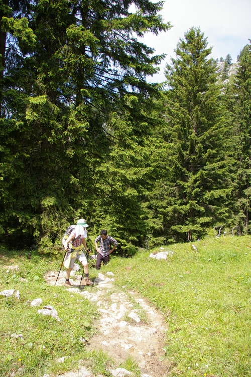 b0175255_1902078.jpg