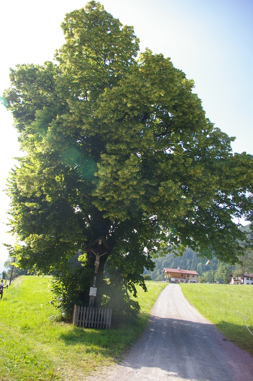 b0175255_19165718.jpg