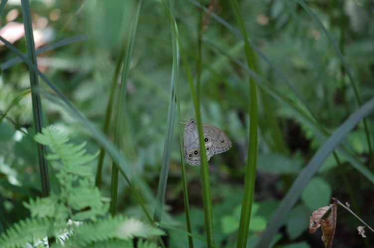 b0167762_22521440.jpg