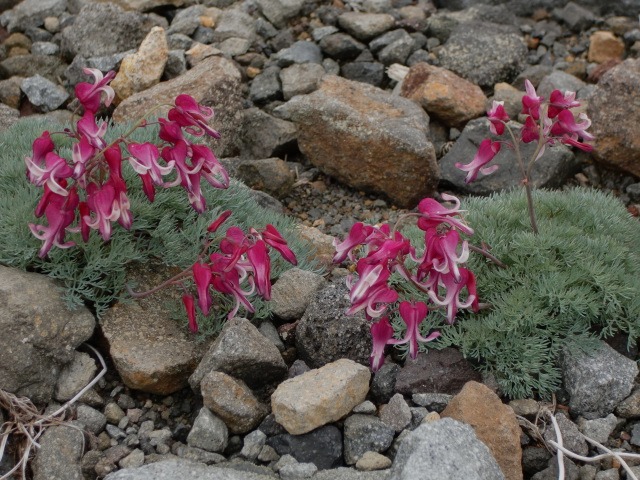 d0010065_1994844.jpg