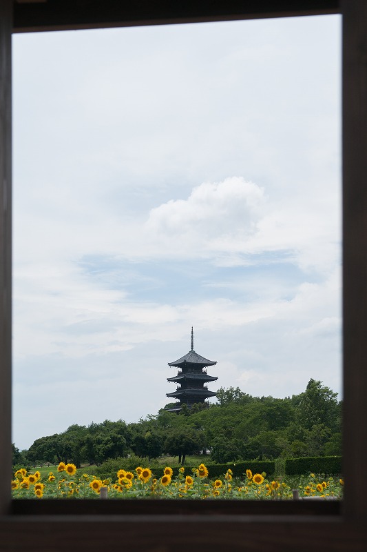 今年も見れました、国分寺謎のマシーン_b0198768_21191559.jpg