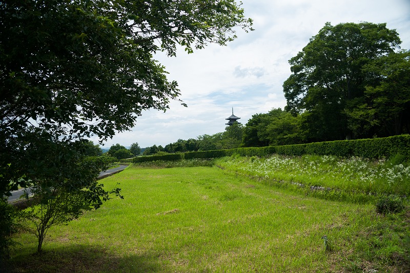 b0198768_2123542.jpg