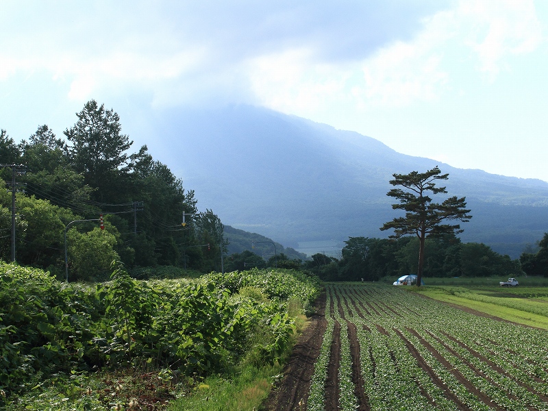 e0213873_23135238.jpg