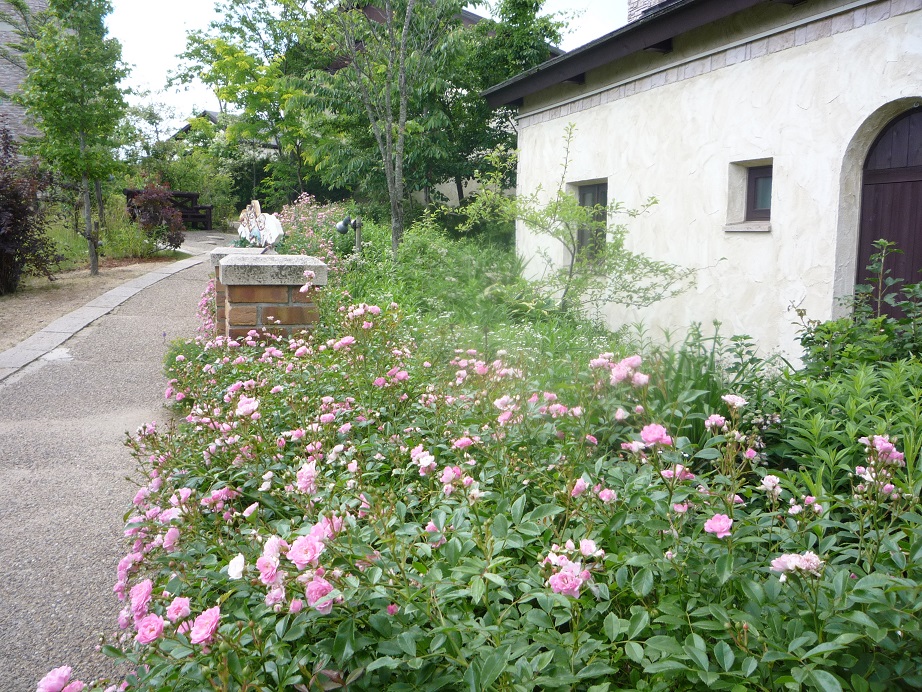 c0086176_14273774.jpg