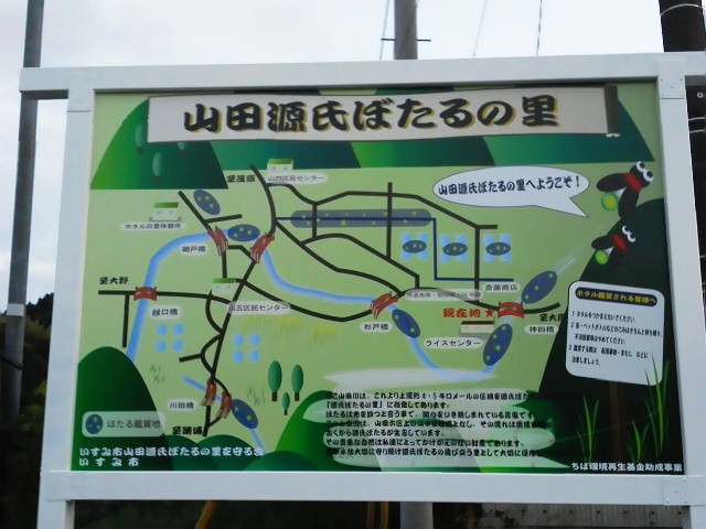 6月前半☆_d0024277_235339.jpg
