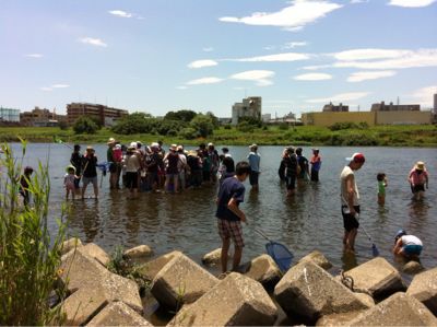 7月7日多摩川でガサガサ_c0091679_11505622.jpg