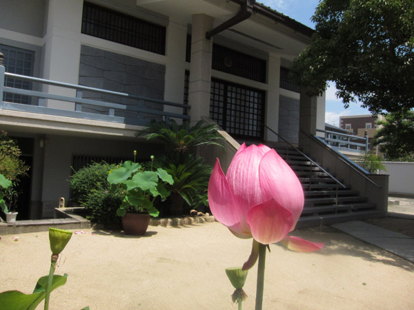 安楽寺 (浄土宗)_a0045381_22324891.jpg