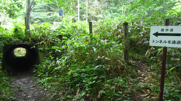 a0242984_3142290.jpg
