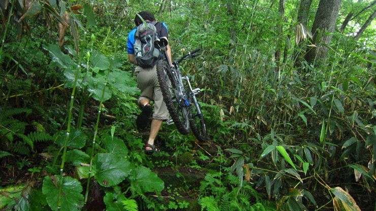 a0242984_3163623.jpg