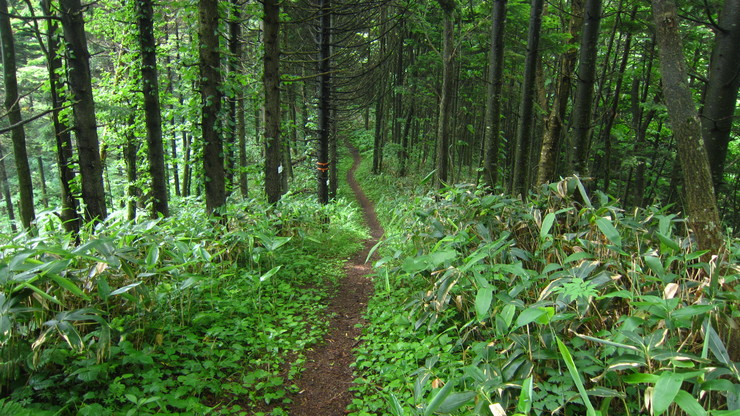 a0242984_3194541.jpg