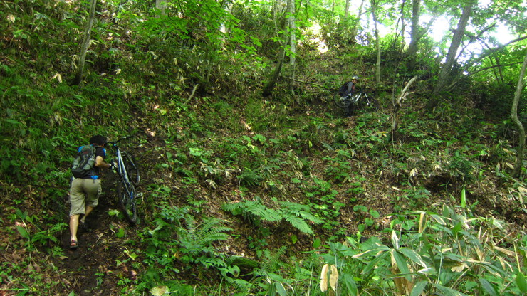 a0242984_3233392.jpg