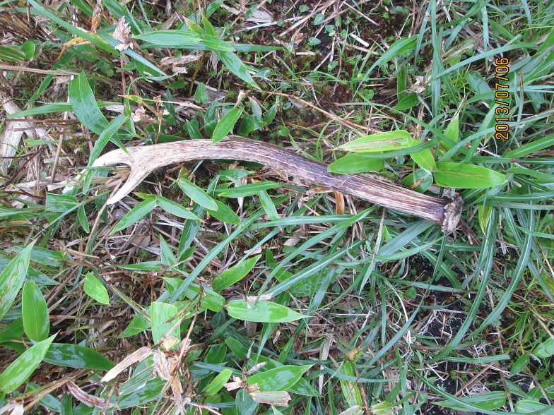 c0118085_0451336.jpg