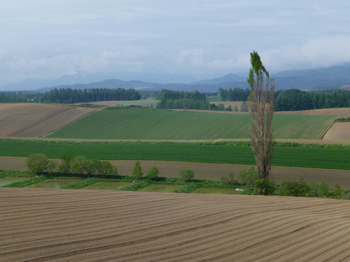 北海道ツーリング(前編)_b0238789_22143963.jpg