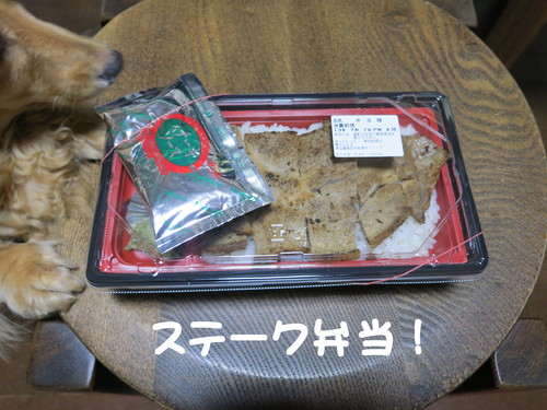 猛暑の中！手入れ作業！_b0200291_22252139.jpg