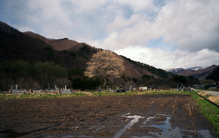 c0214494_18325047.jpg