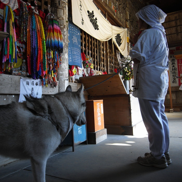 Memory of the second pilgrimage with husky HANA_c0049299_11143472.jpg