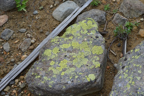 a0275900_1044141.jpg