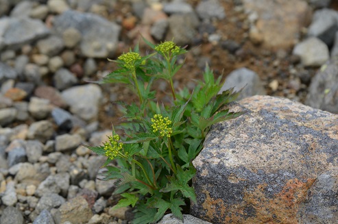 a0275900_104525.jpg