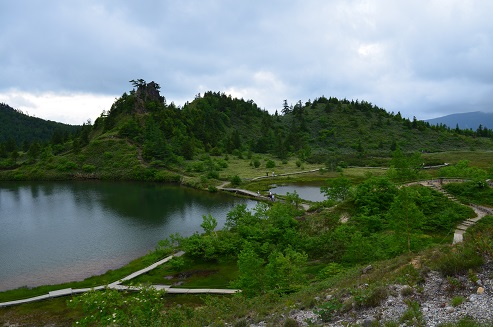 コマクサに会いに・・・草津白根山♪（2013.07.06）vol.1_a0275900_9372790.jpg