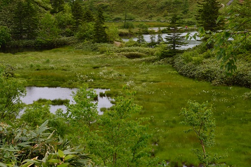 a0275900_9374224.jpg