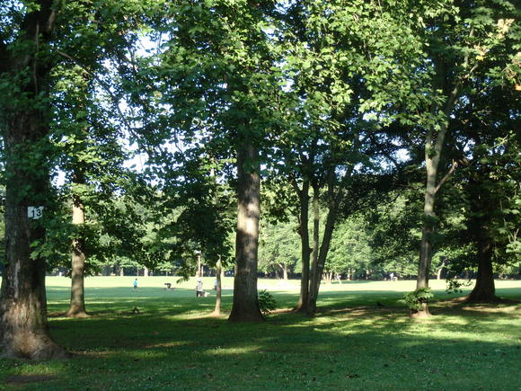 a0288500_11383258.jpg