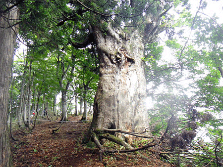 b0108100_22503939.gif