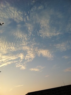 b0189200_21103837.jpg
