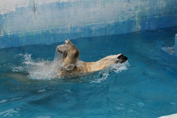 e0319302_1255198.jpg
