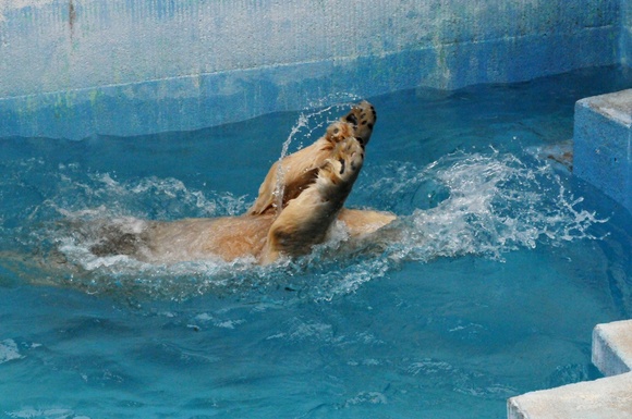 e0319302_1261719.jpg