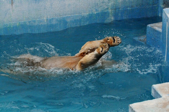 e0319302_1264074.jpg