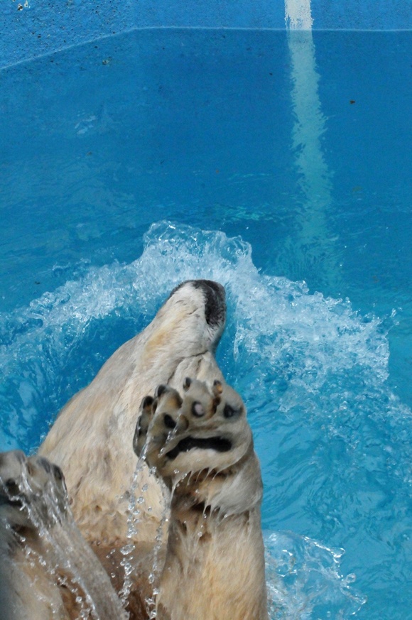 e0319302_1274779.jpg
