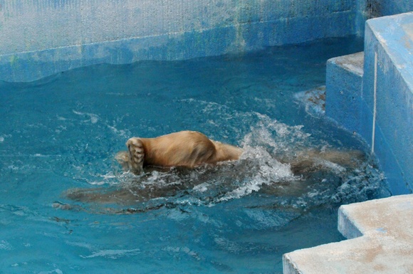 e0319302_127614.jpg